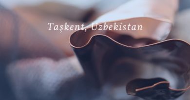 „Mareen – simboluri ale mării și metamorfoze vizuale”. De la Constanța în Uzbekistan