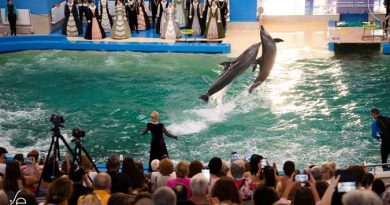 O săptămână spectaculoasă SEAS! Programul complet