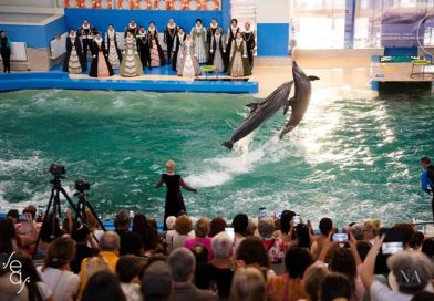 O săptămână spectaculoasă SEAS! Programul complet