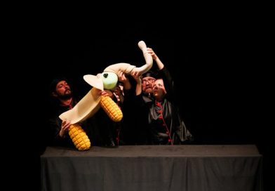 Magie pe scenă, bucurie în suflet și un tur de forță actoricesc